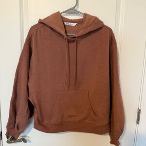 DSG Women's Brown Hoodie